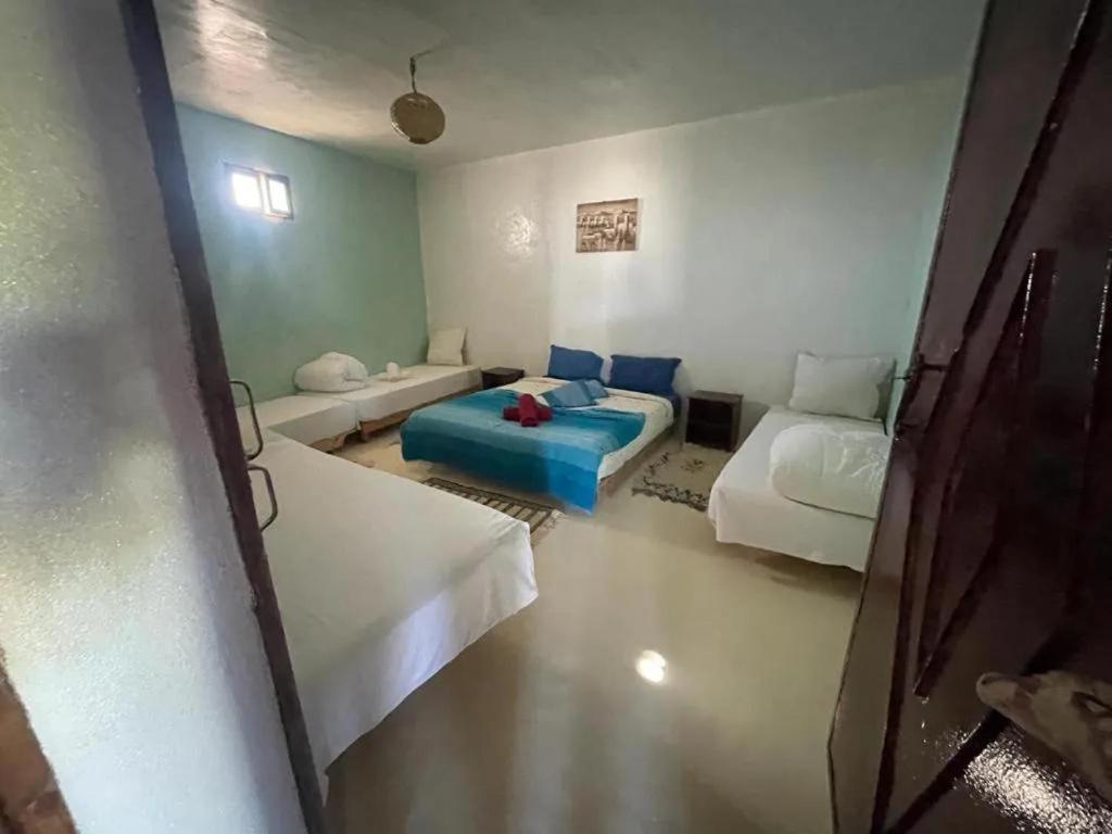 Les Jardins D Amizmiz 6 Piscines Bed & Breakfast Wawizelte Luaran gambar